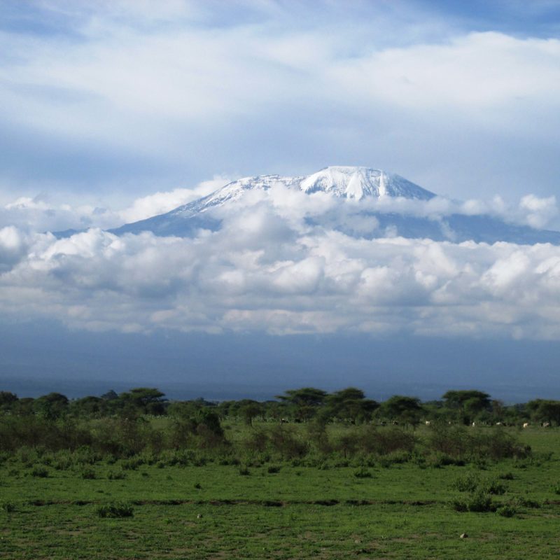 Mount Kili - Something In Her Ramblings