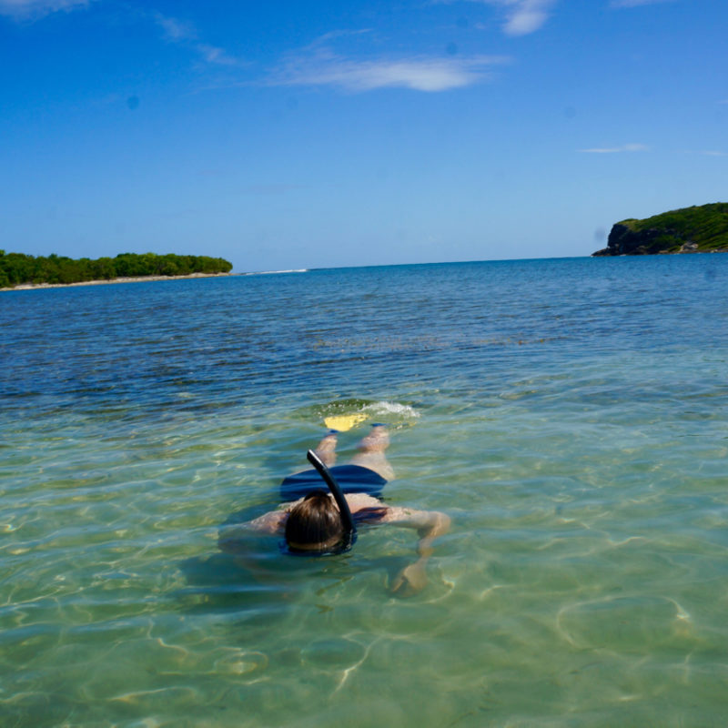 vieques island snorkeling Something In Her Ramblings