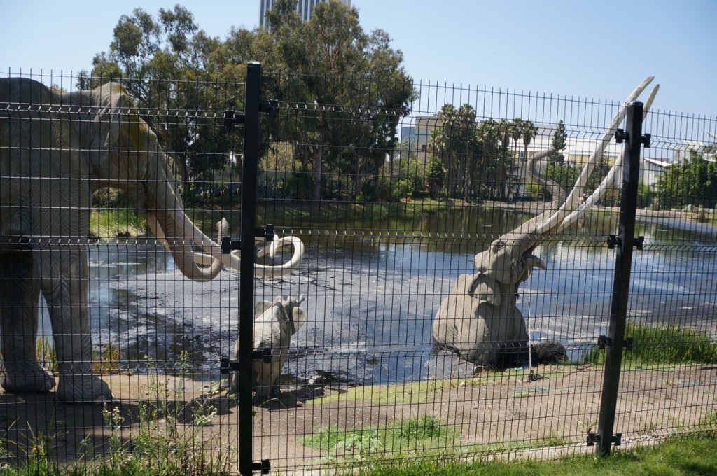 La Brea Tar Pits in Los Angeles.