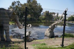 La Brea Tar Pits in Los Angeles.