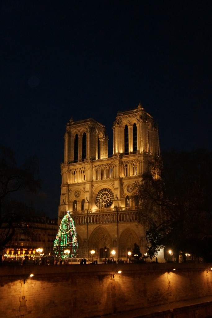 Christmas decorations in Paris.