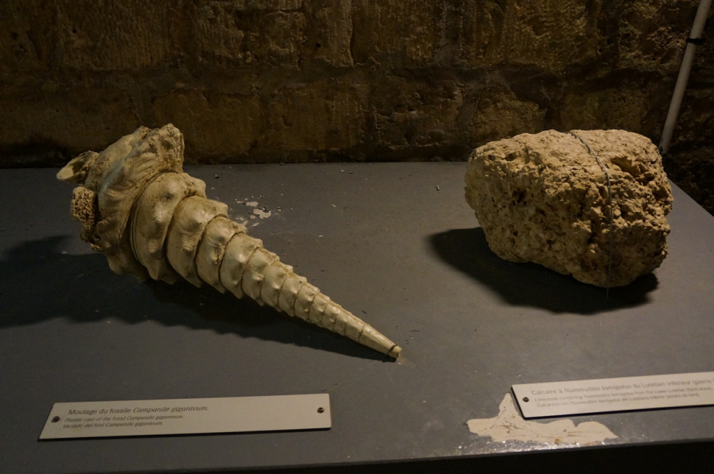 Bones! Spooky surprises in the Catacombs of Paris.