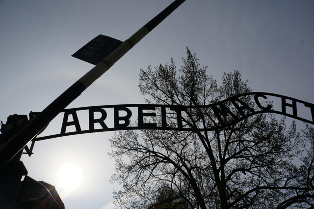 Read more about the article On the 70th Anniversary of Liberation of Auschwitz, a Reflection on the Power of Visiting