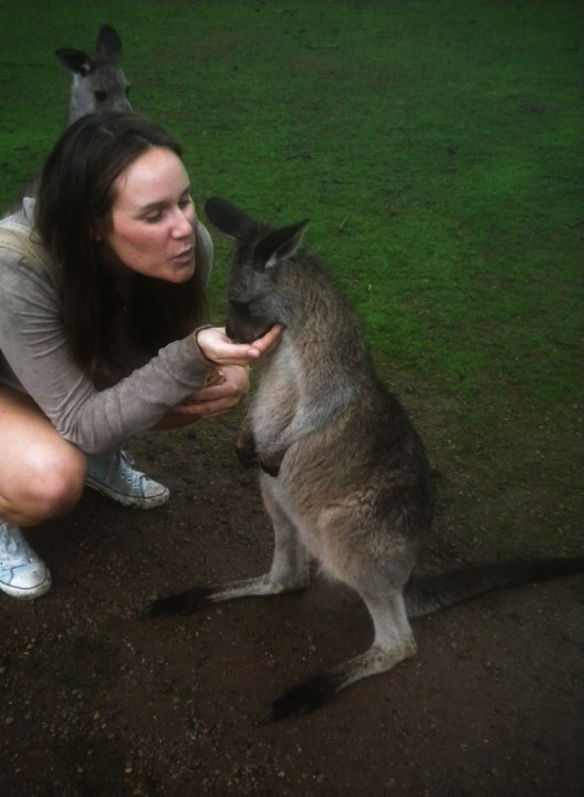 Solo Woman Traveler kisses a kangaroo in Australia