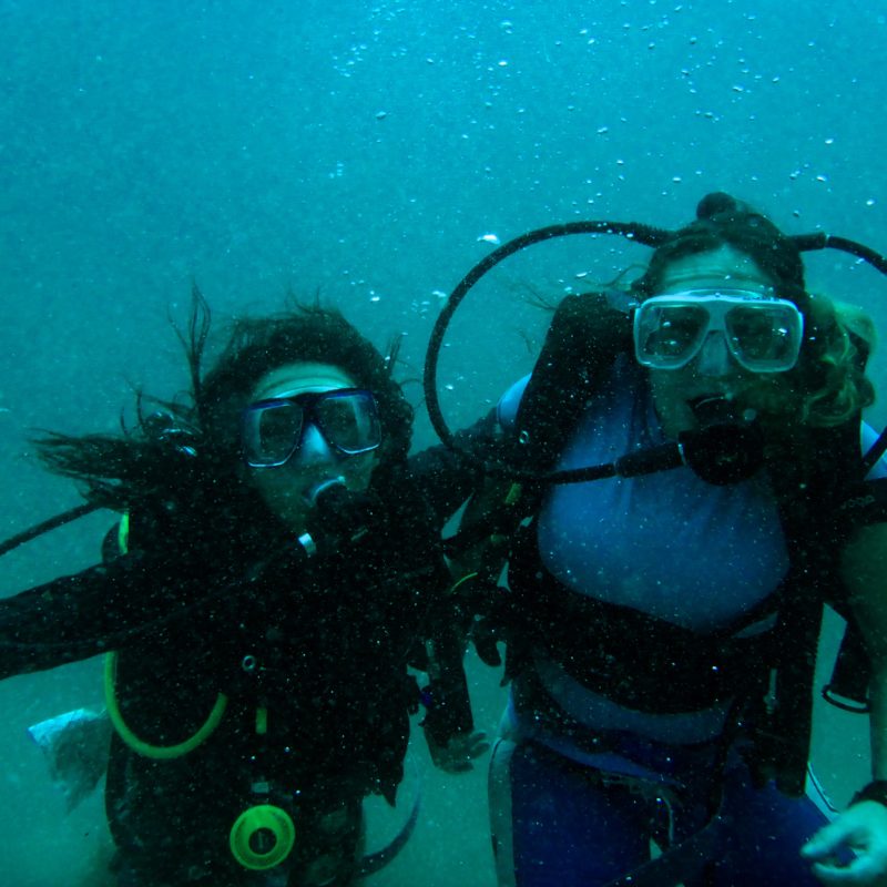 scuba dive partners in bocas del toro panama - Something In Her Ramblings