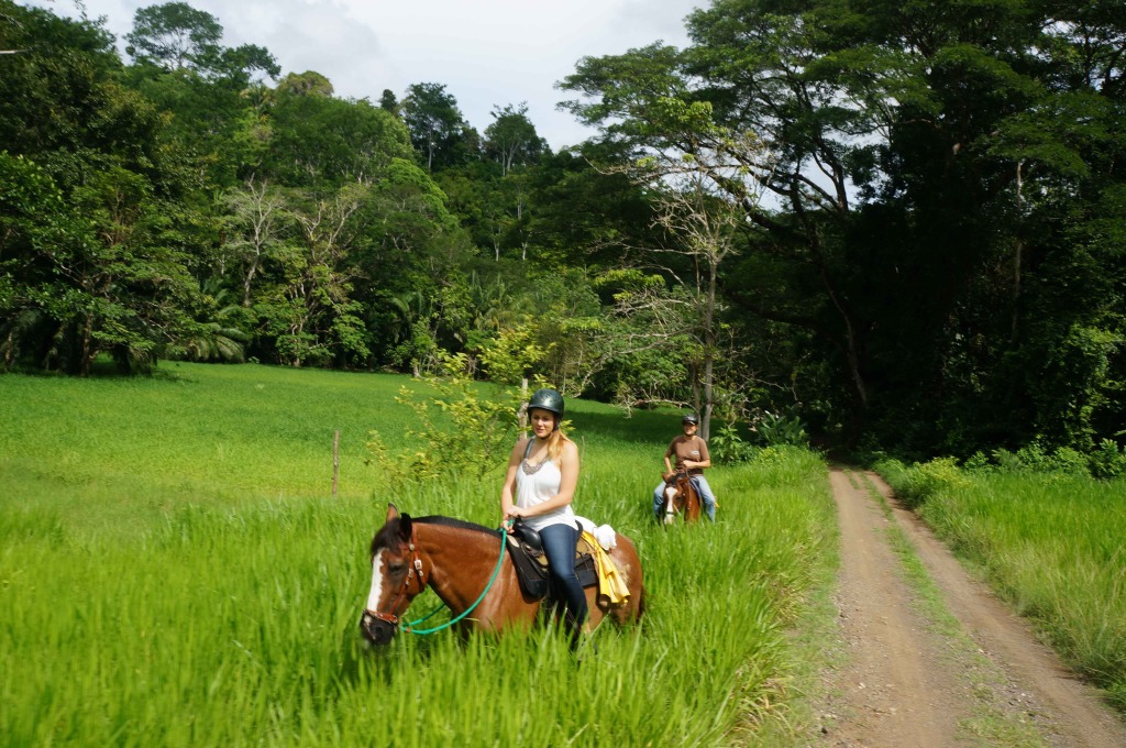 Discovery Horseback Tours 13