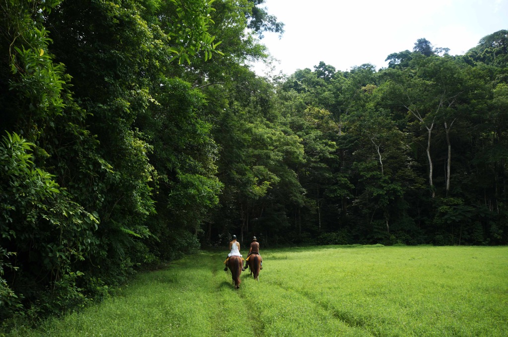 Discovery Horseback Tours 4