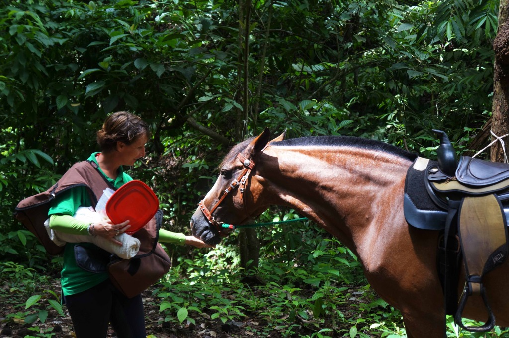 Discovery Horseback Tours Andrea and horse