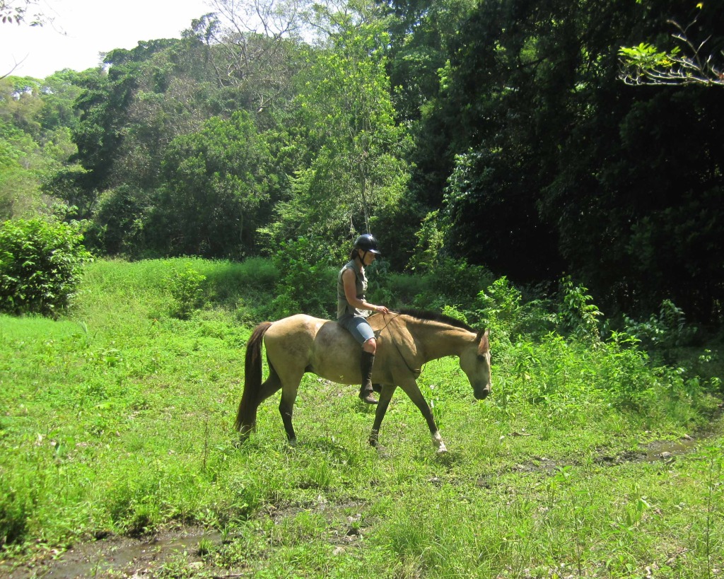 horseback riding vacations in costa rica