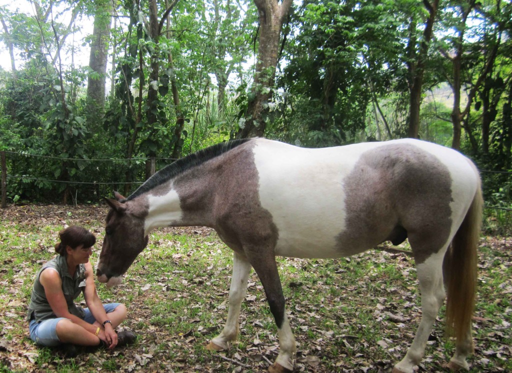 women who travel solo horseback riding vacations