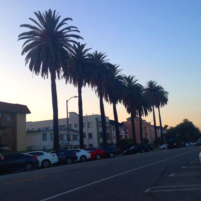 driving in los angeles side streets - Something In Her Ramblings