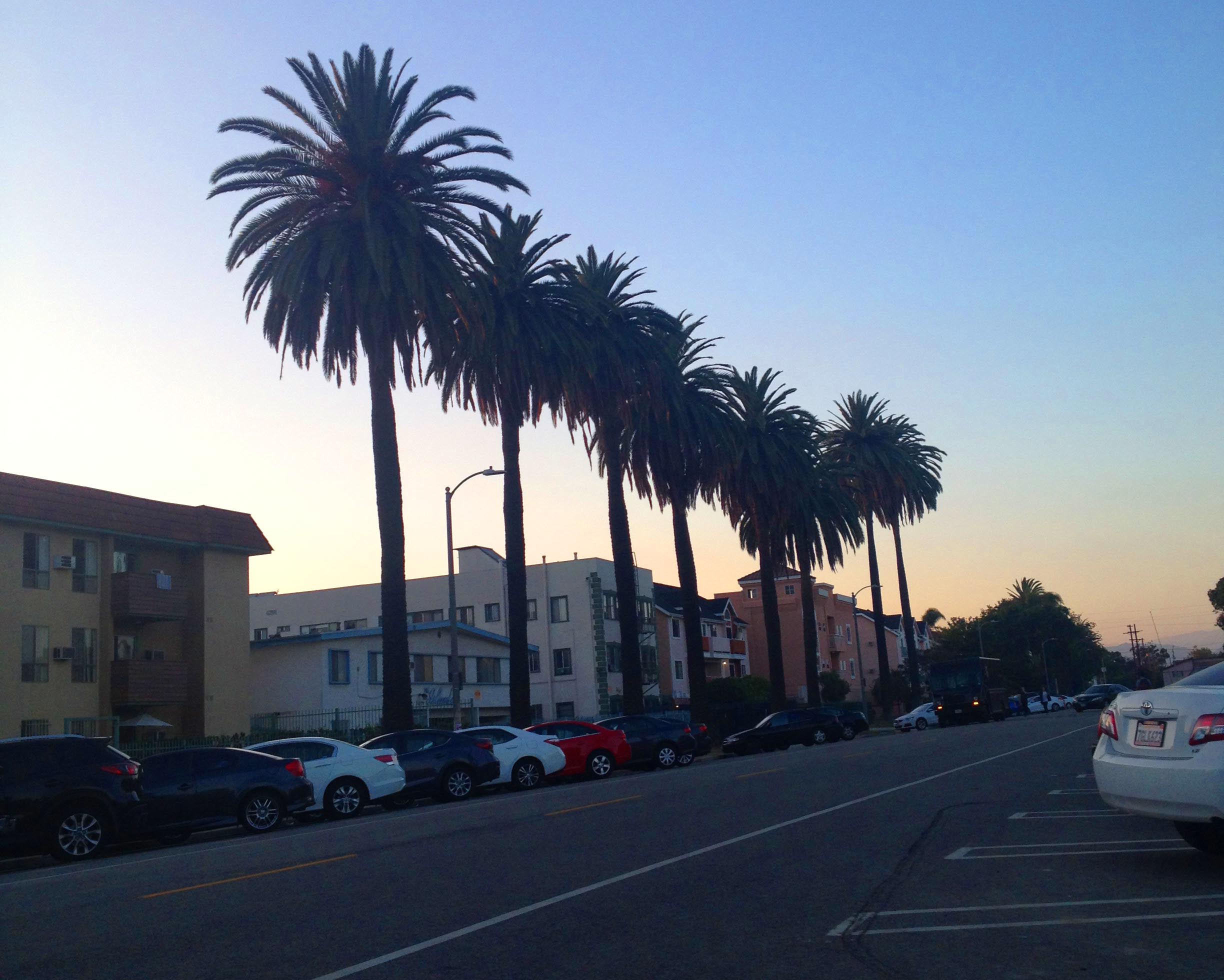 7 Tips for Stress-Free Driving in Los Angeles