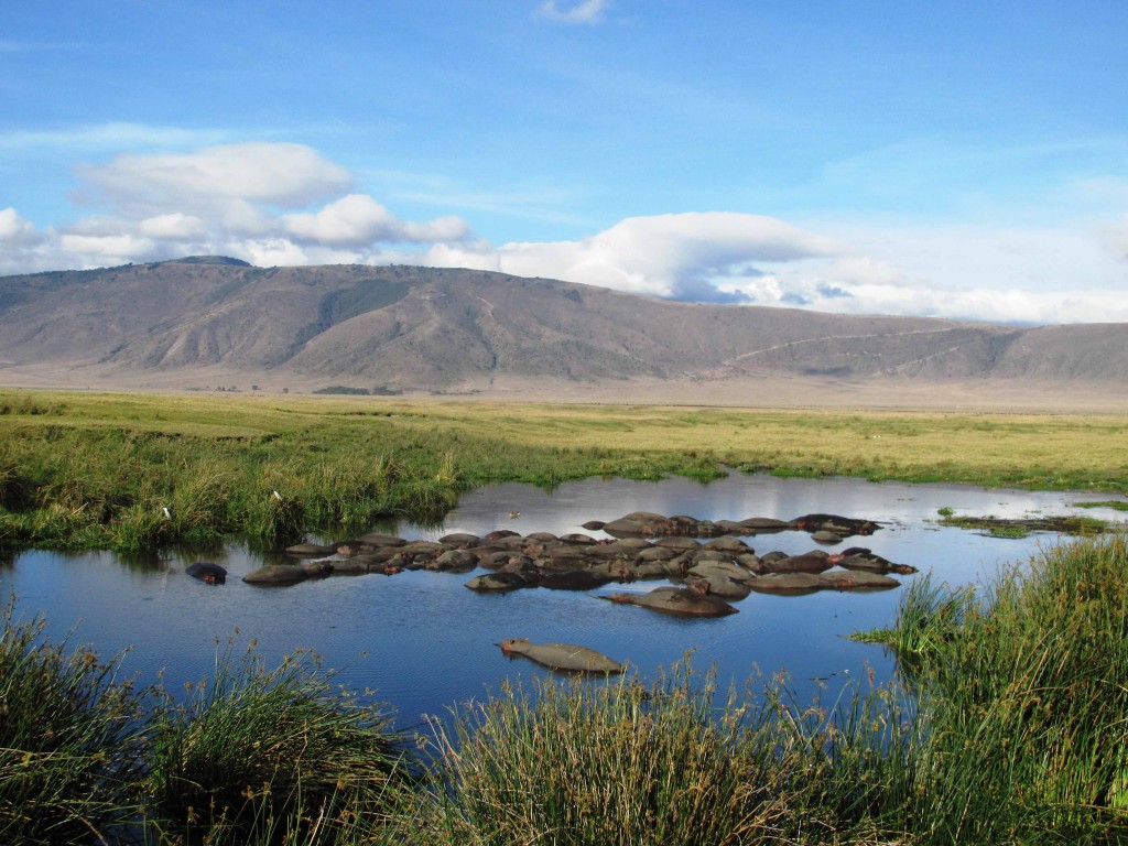 solo travel in Tanzania safari