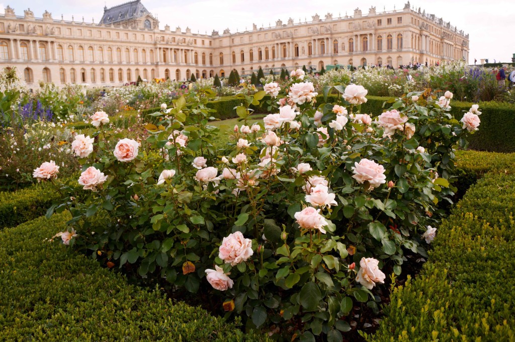 reasons to love france versailles