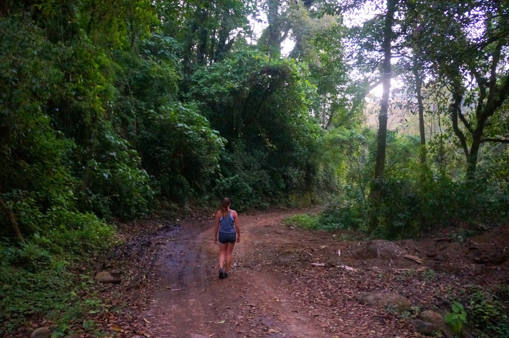 my life in costa rica as an expat- rainforest hikes