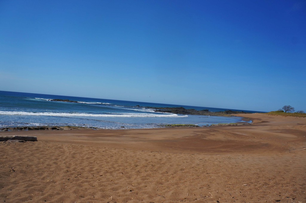 playa cayote atv rental in santa teresa