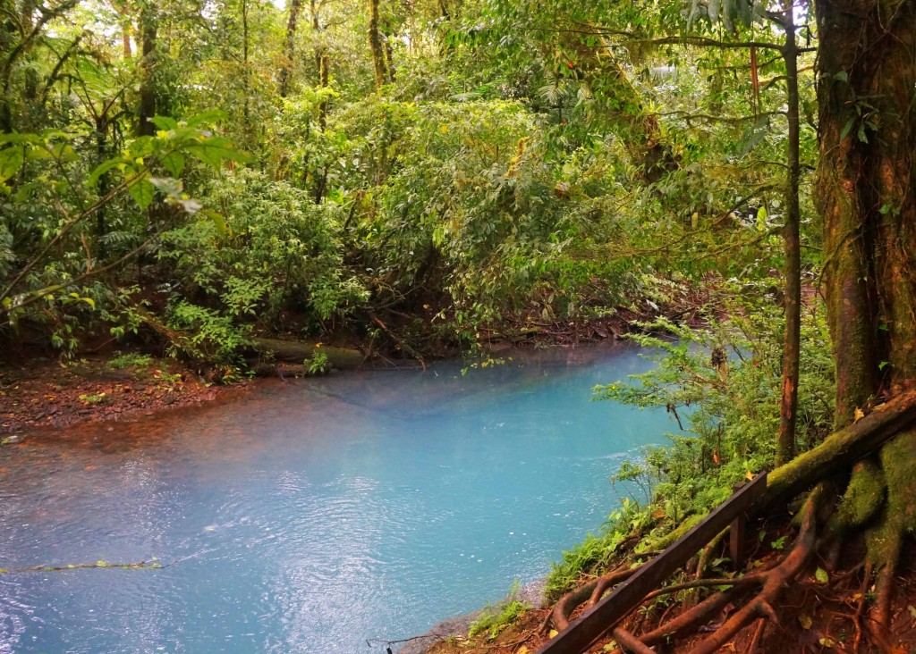 things to know before visiting rio celeste- why is rio celeste so blue