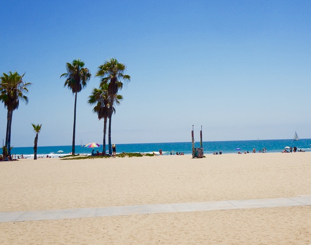 venice beach essential sights in los angeles