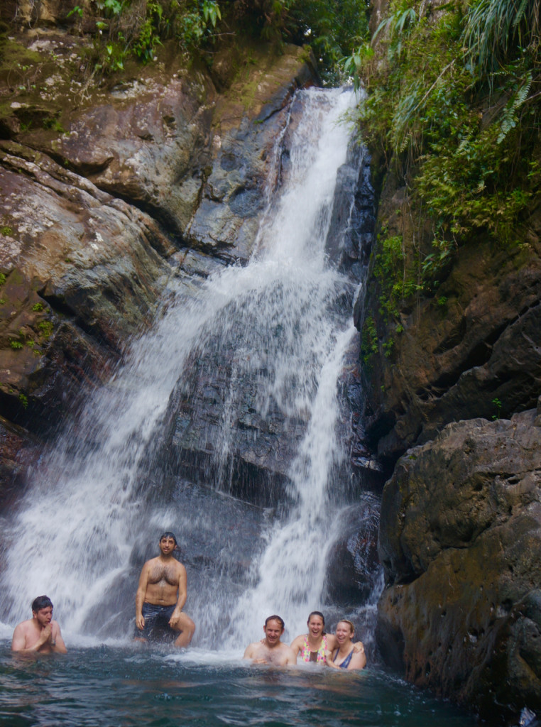 rainforest in puerto rico waterfall