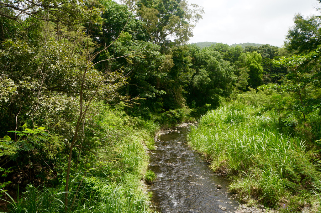 road trip across puerto rico nature