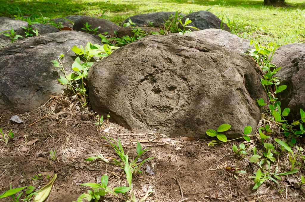 road trip across puerto rico petroglyph