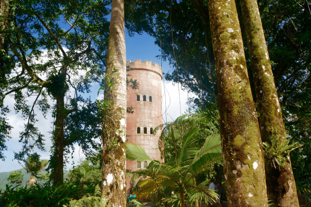 tower rainforest in puerto rico