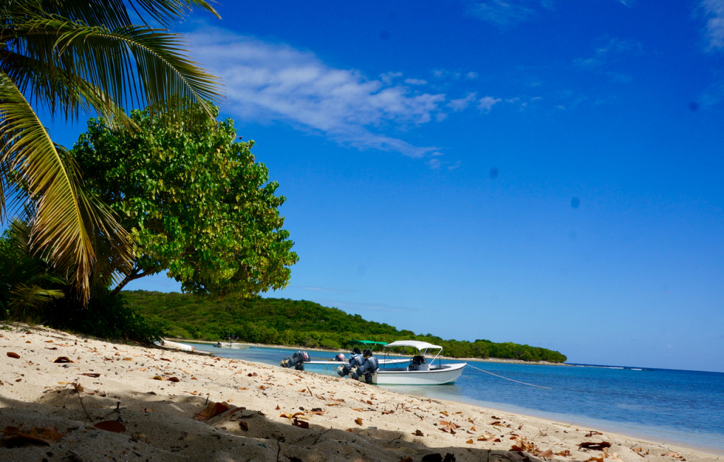 vieques island beaches