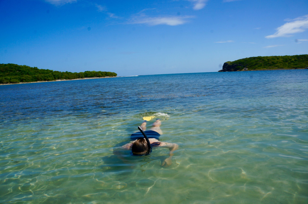 vieques island snorkeling