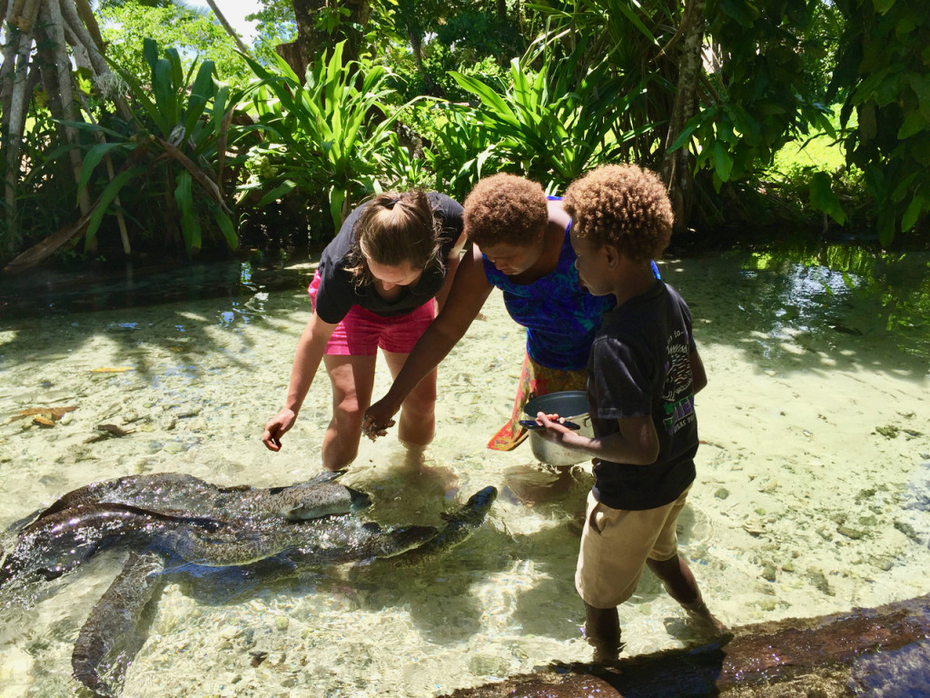 eels in papua new guinea